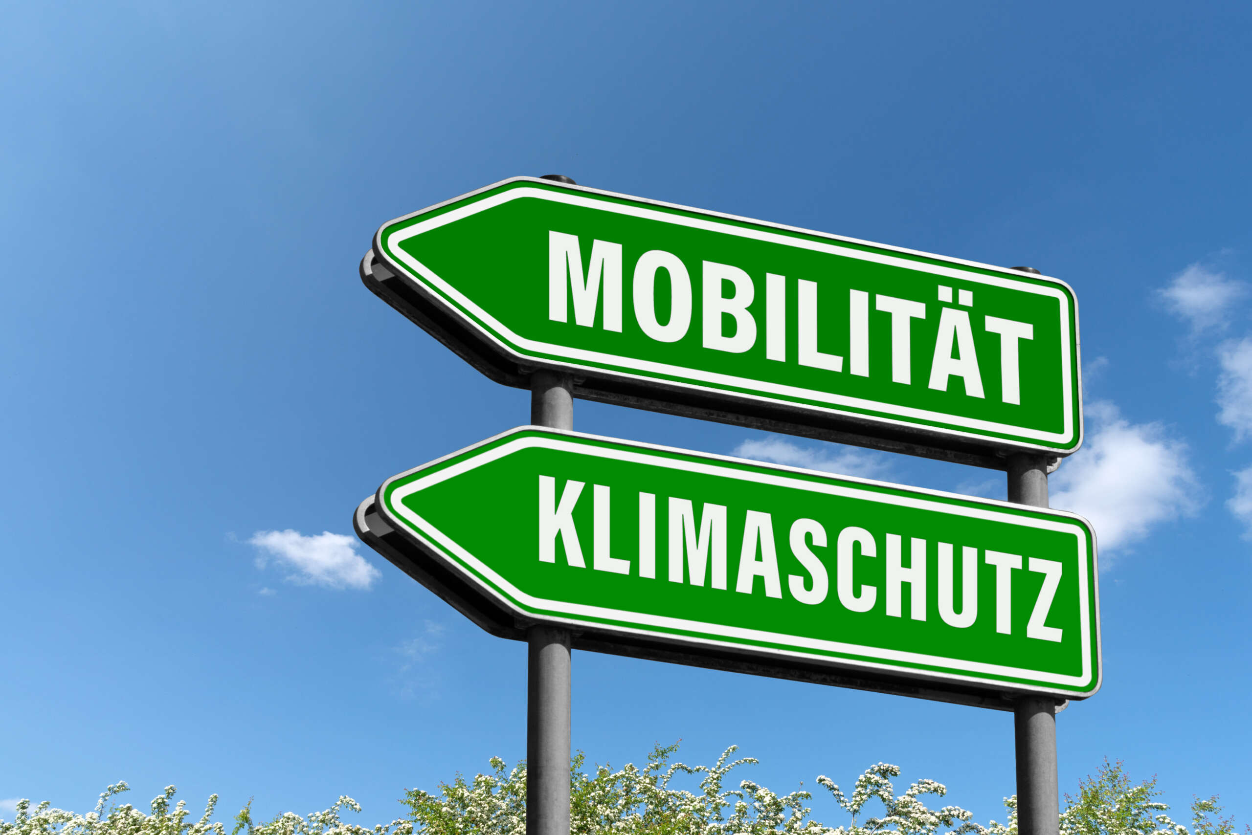 Kaiserslautern startet in der „Europäischen Mobilitätswoche“ und der „Woche der Klimaanpassung“ durch Tägliches Programm von 16. bis 22. September 2024 mit vielen Partnern.